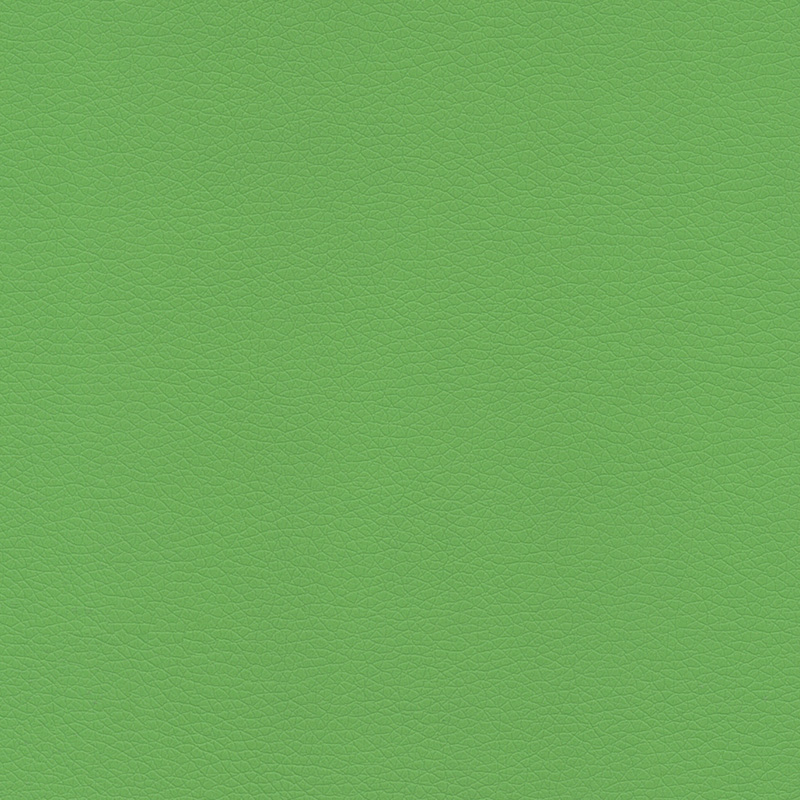  Bambini | Kunstleder phthalatfrei pure green