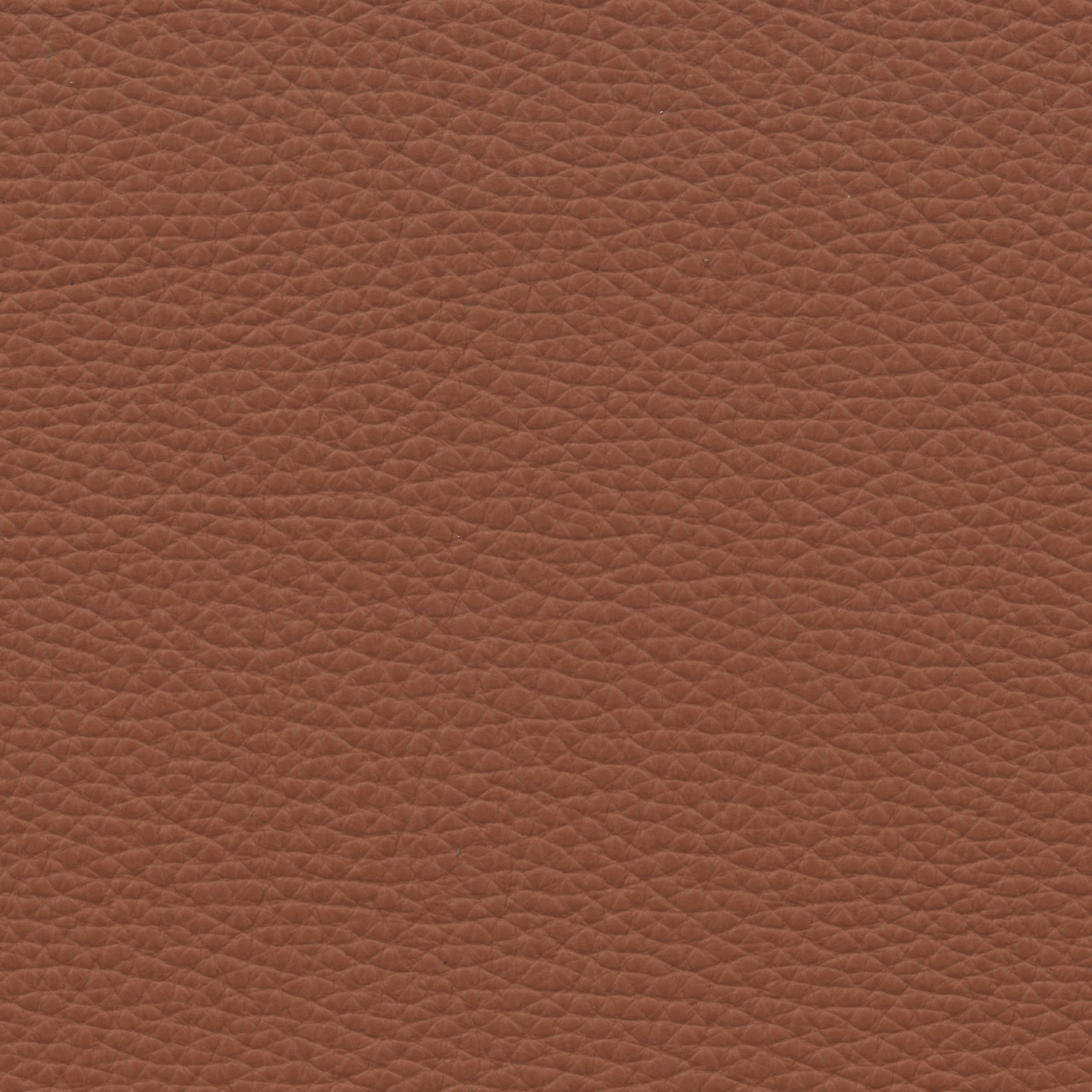  Paris | Rindleder rotbraun 1