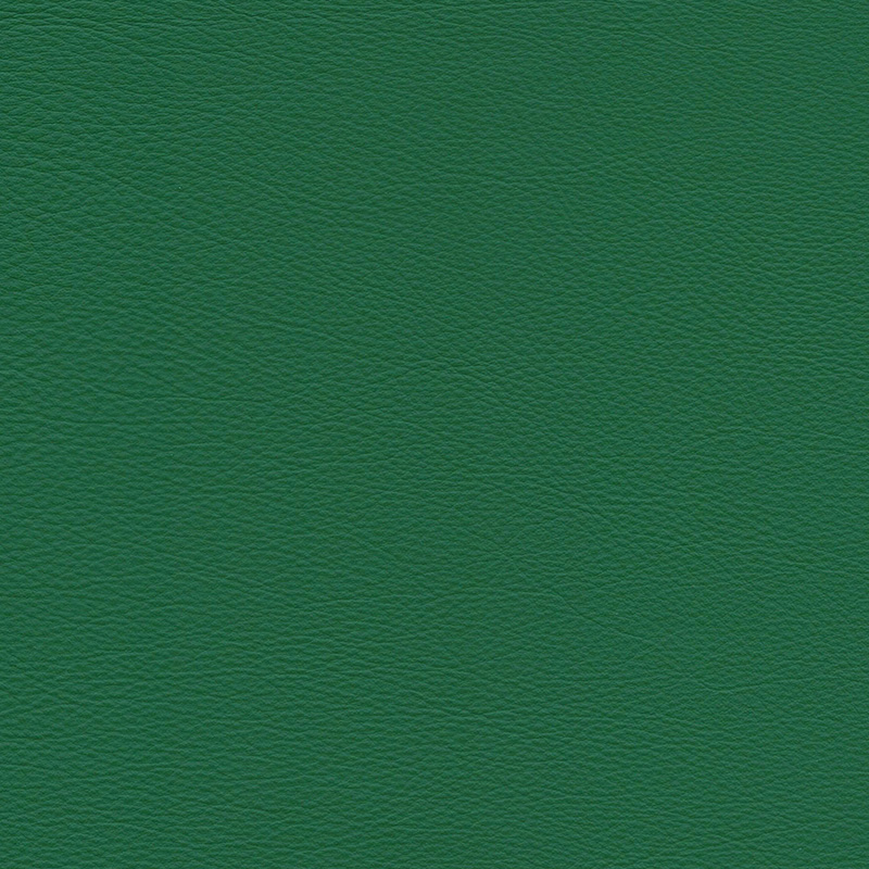  Colorado | Rindleder tannengrün