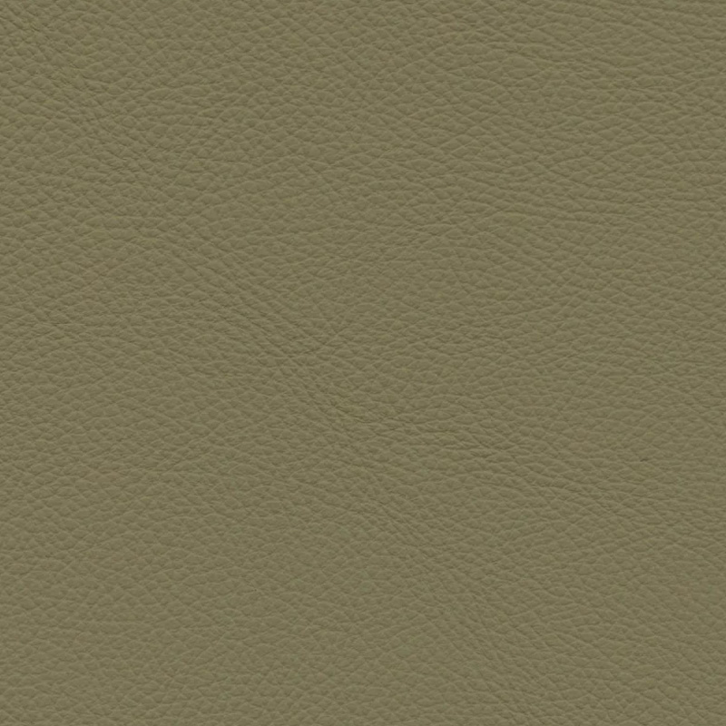  Frisco | Echtes Rindsleder olive green dark