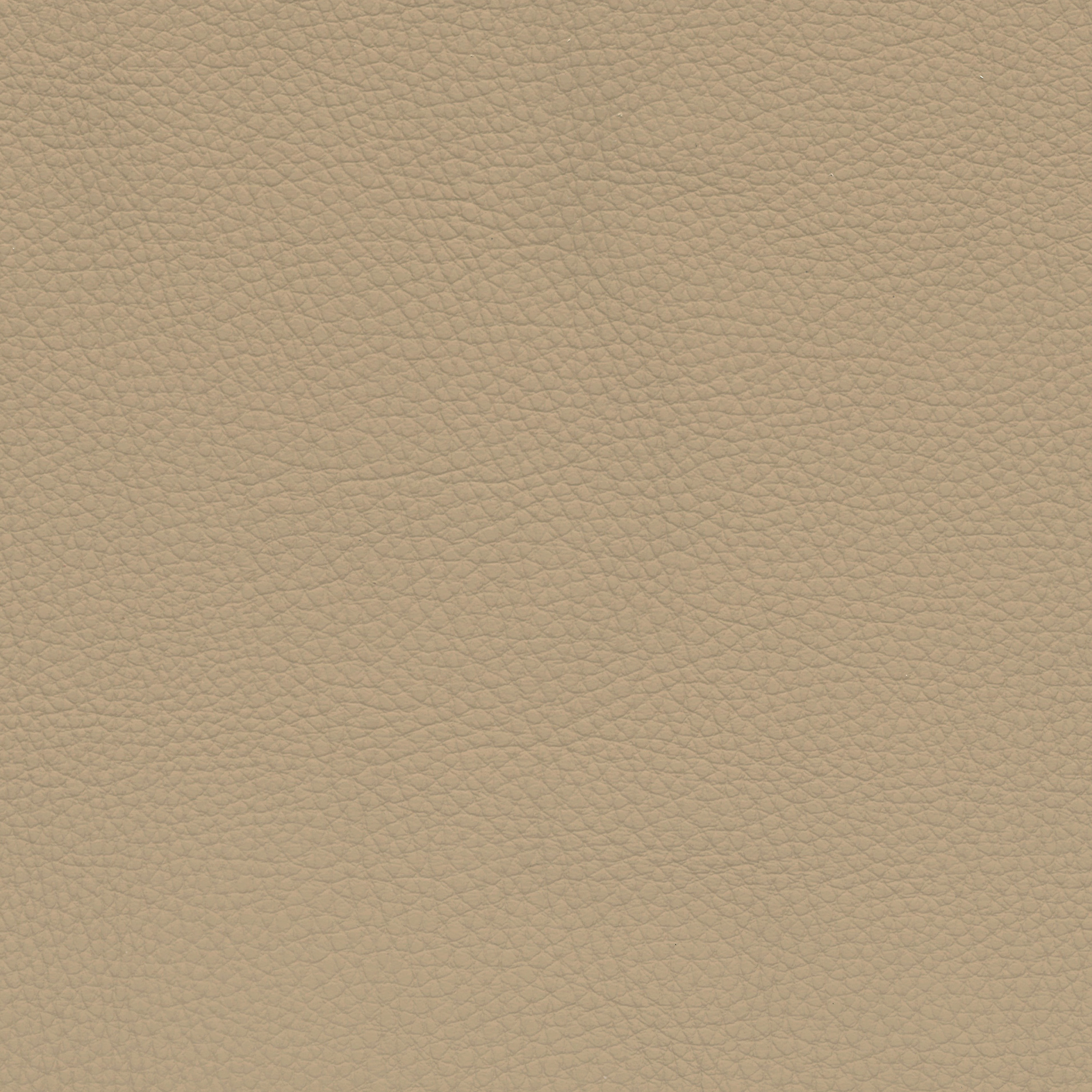  BMW Leder | Dakota venetobeige