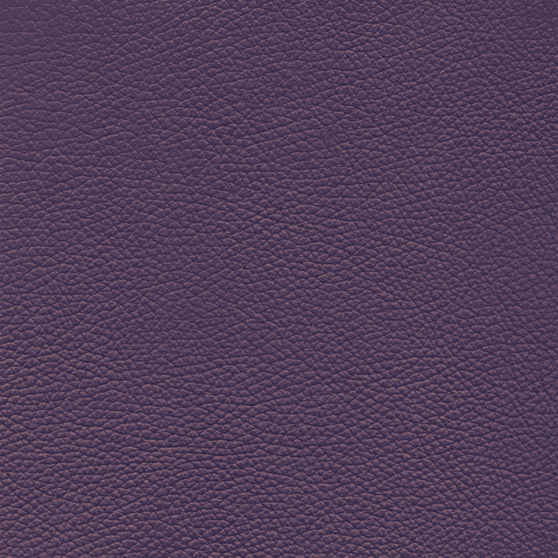  Frisco | Echtes Rindsleder blackberry