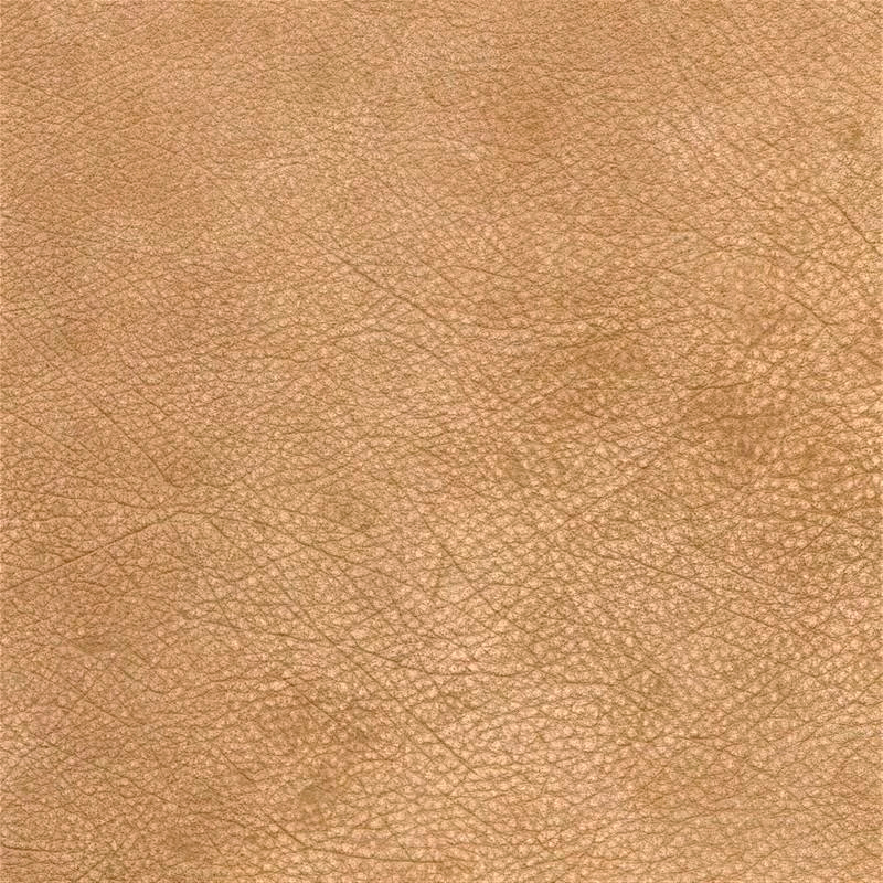  Wild | Wasserbüffelleder beach