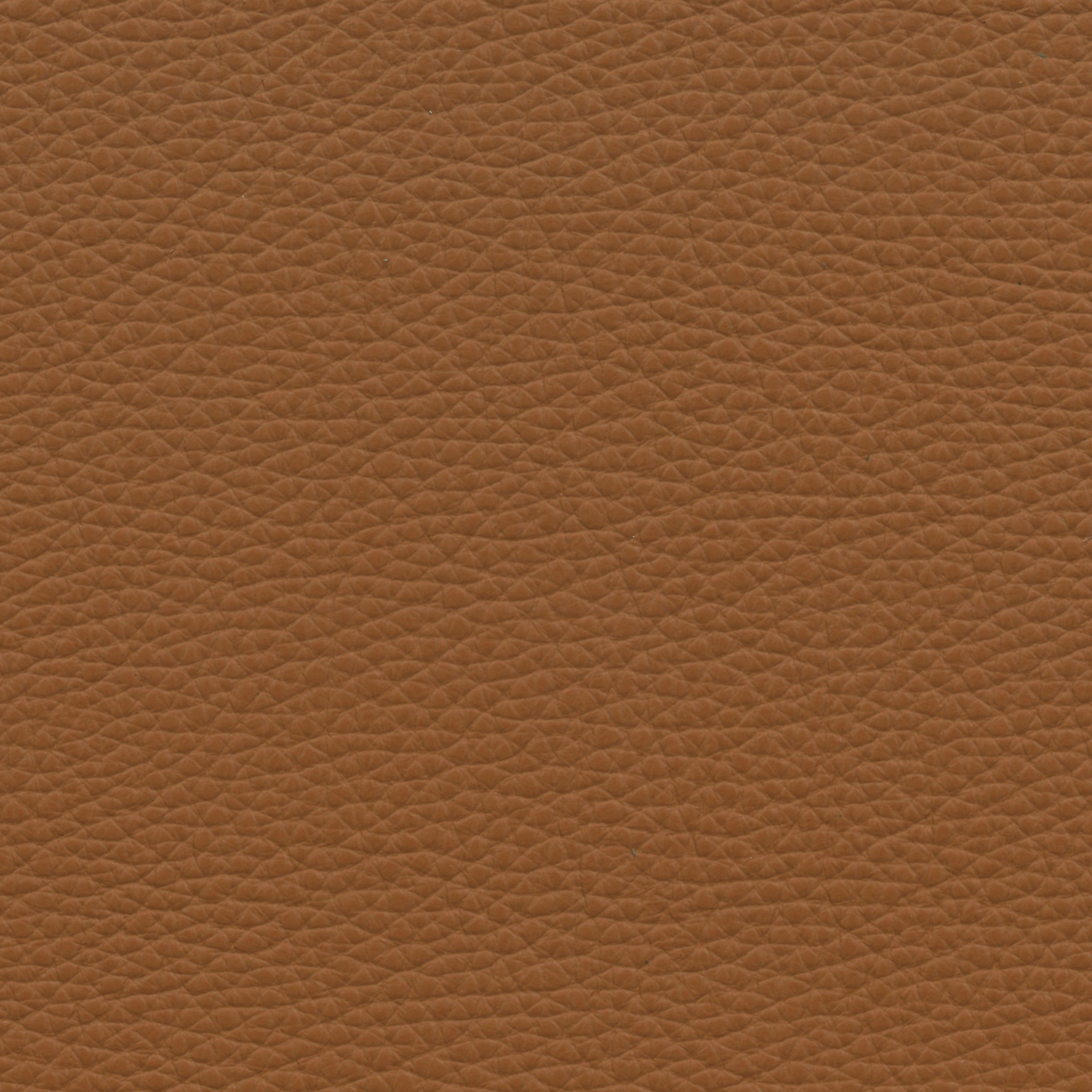  Paris | Rindleder hellbraun