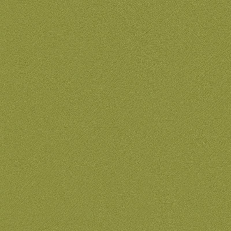  Skai® Toledo EN | bielastisch lime