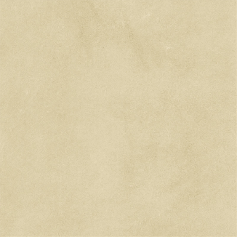  Verginia | Pullup beige