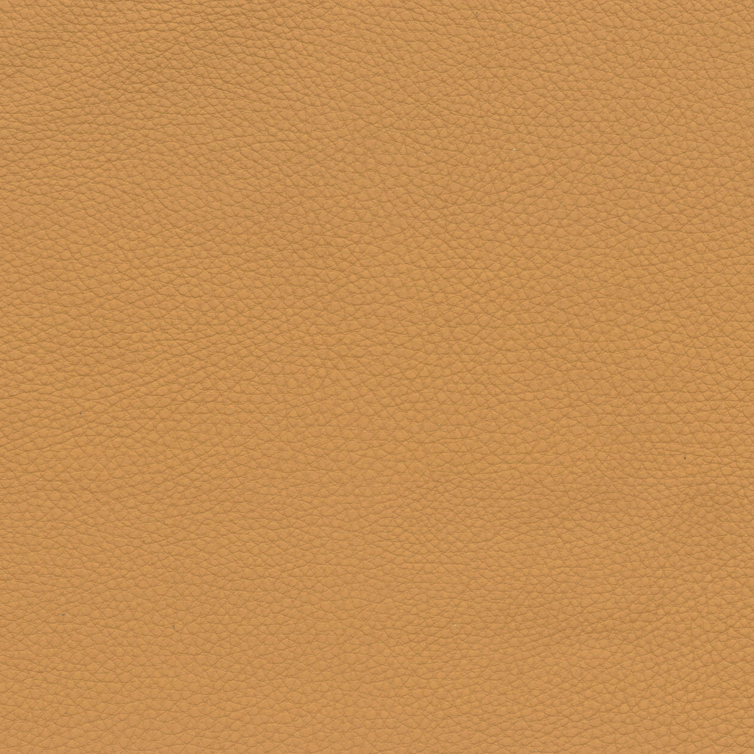  BMW Leder | Montana safrangelb