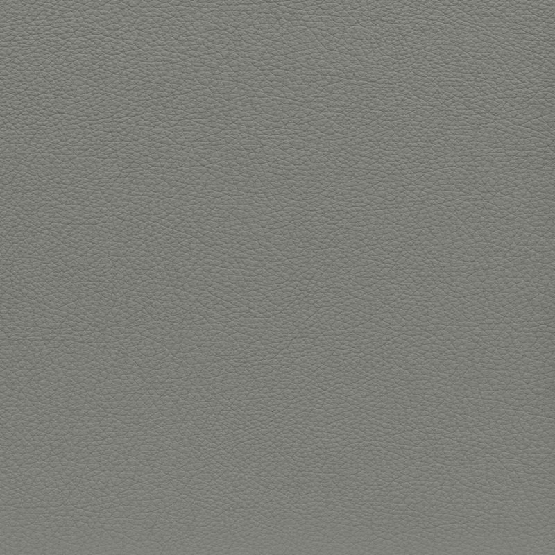  BMW Leder | Dakota everestgrau V2