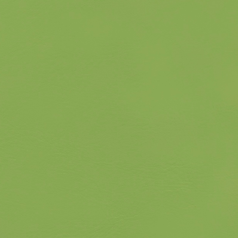  Nappa | Autoleder verde ulysses