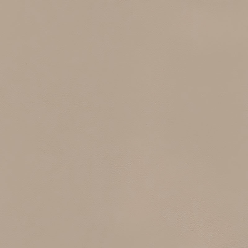  Nappa | Autoleder champignon