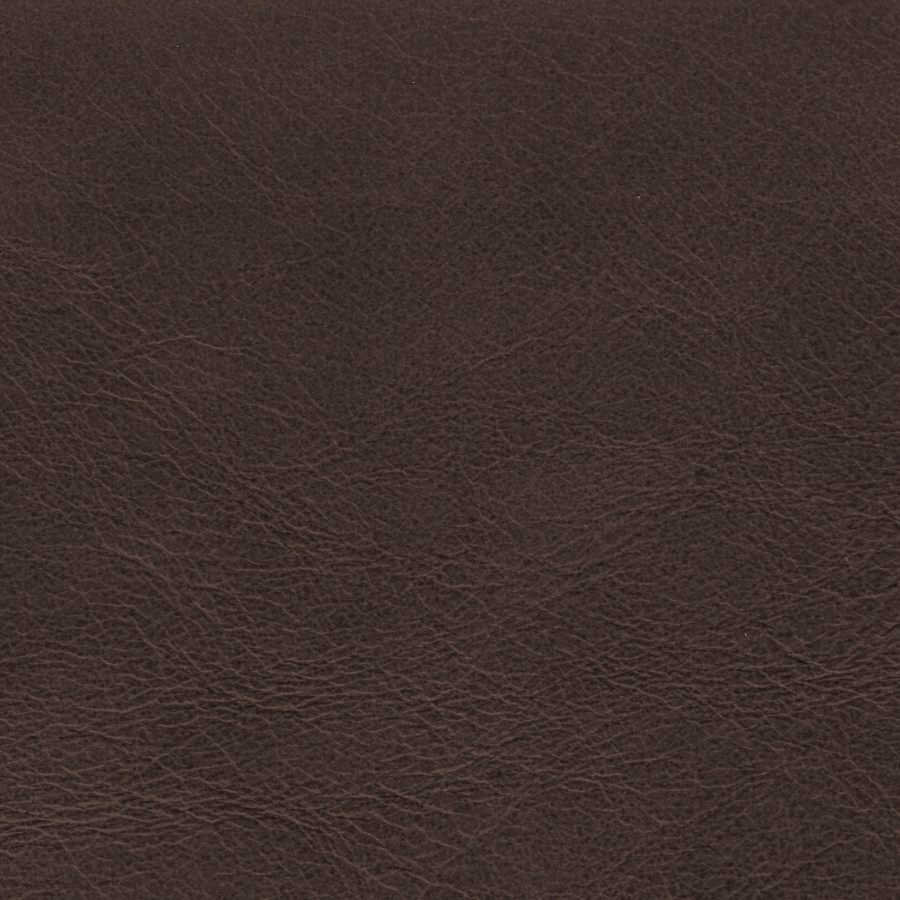  Savanne | Büffelleder choclate