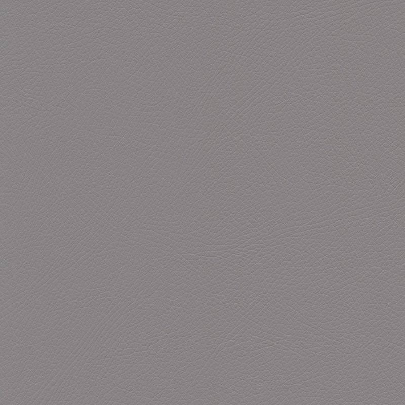  Skai® Toledo EN | bielastisch platinum