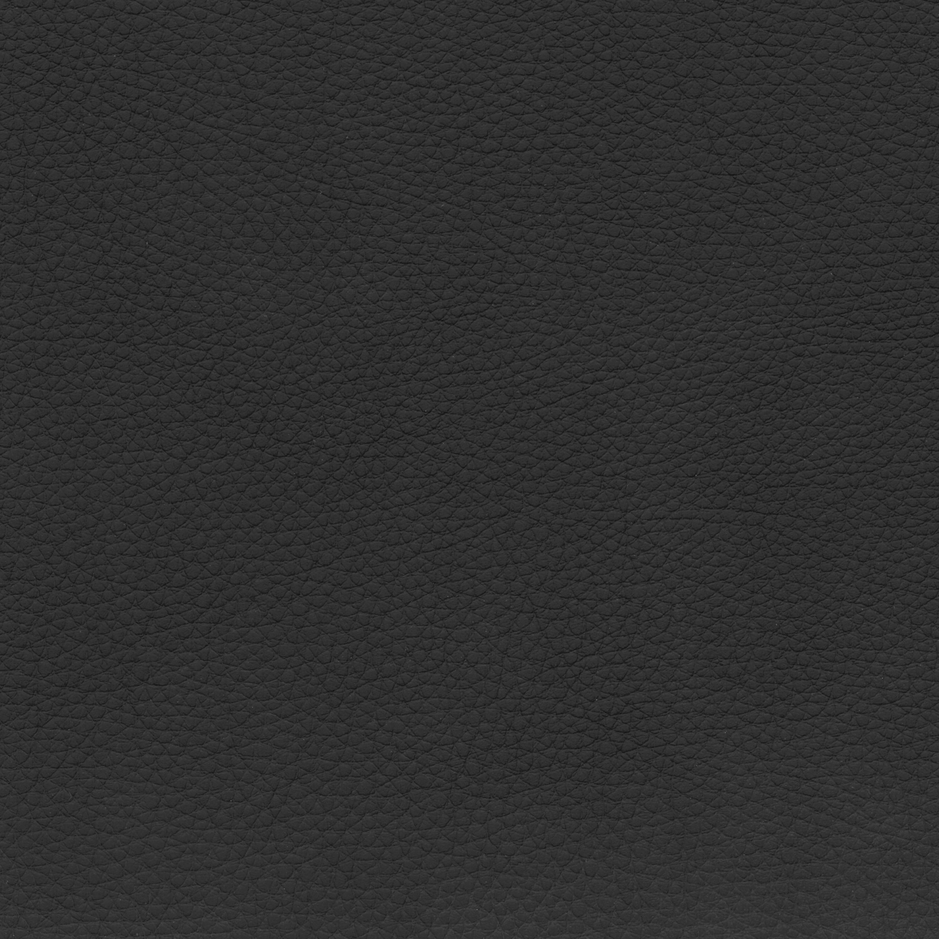  BMW Leder | Dakota schwarz V2