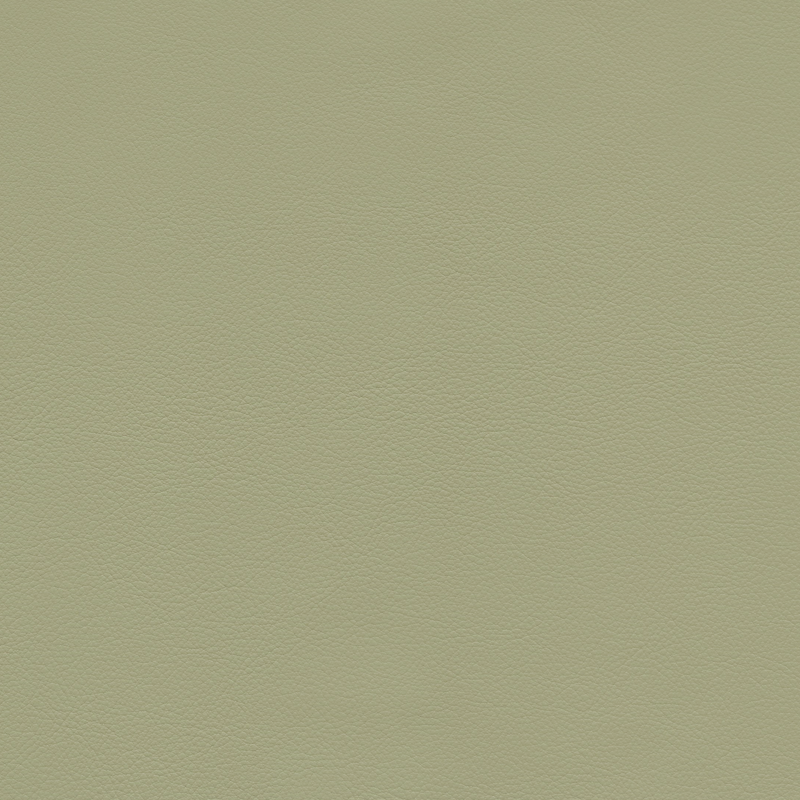  Continental | Rindleder palegrün