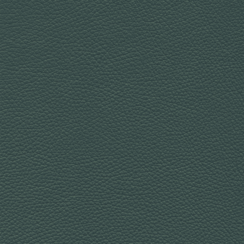  Frisco | Echtes Rindsleder dark green