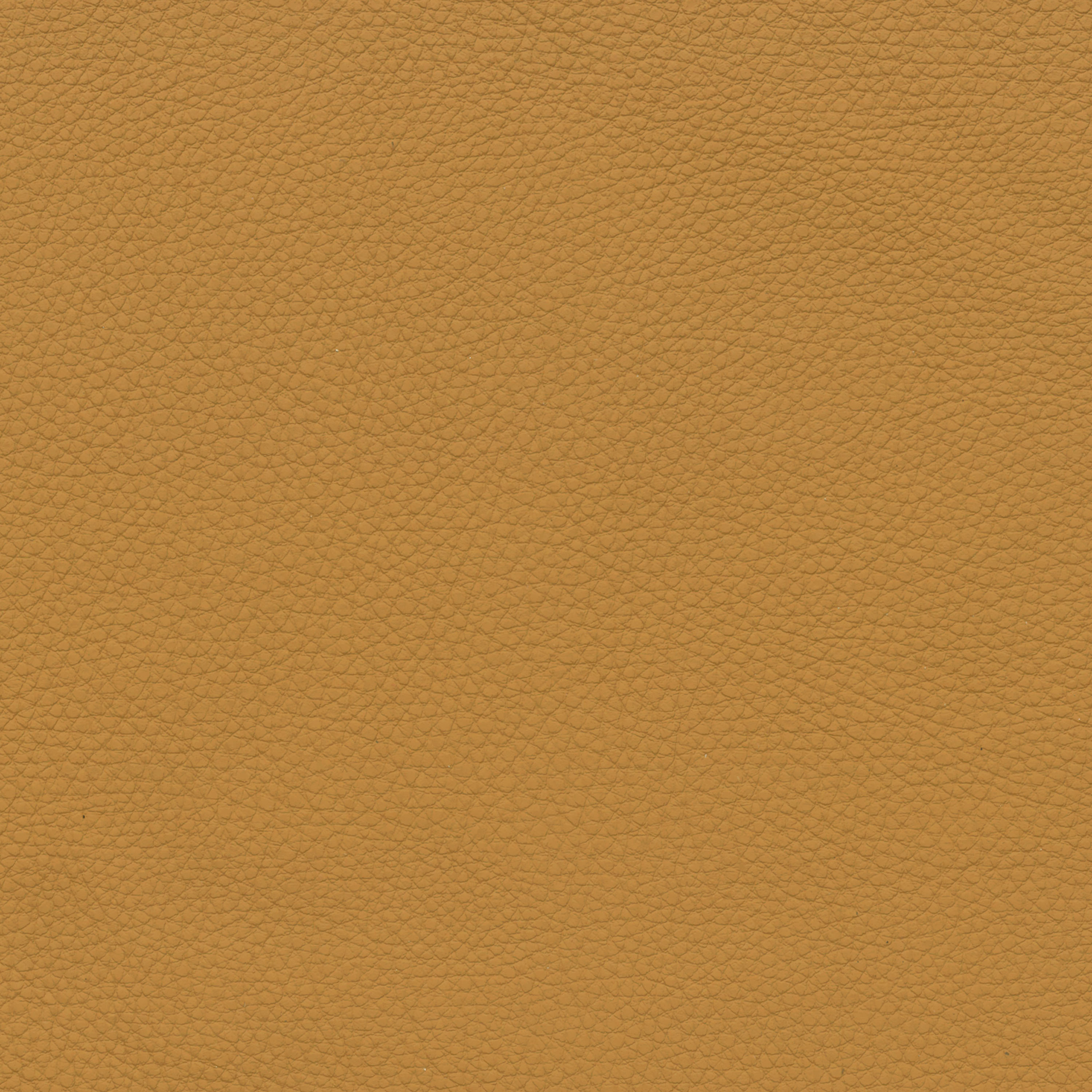  BMW Leder | Dakota maisgelb