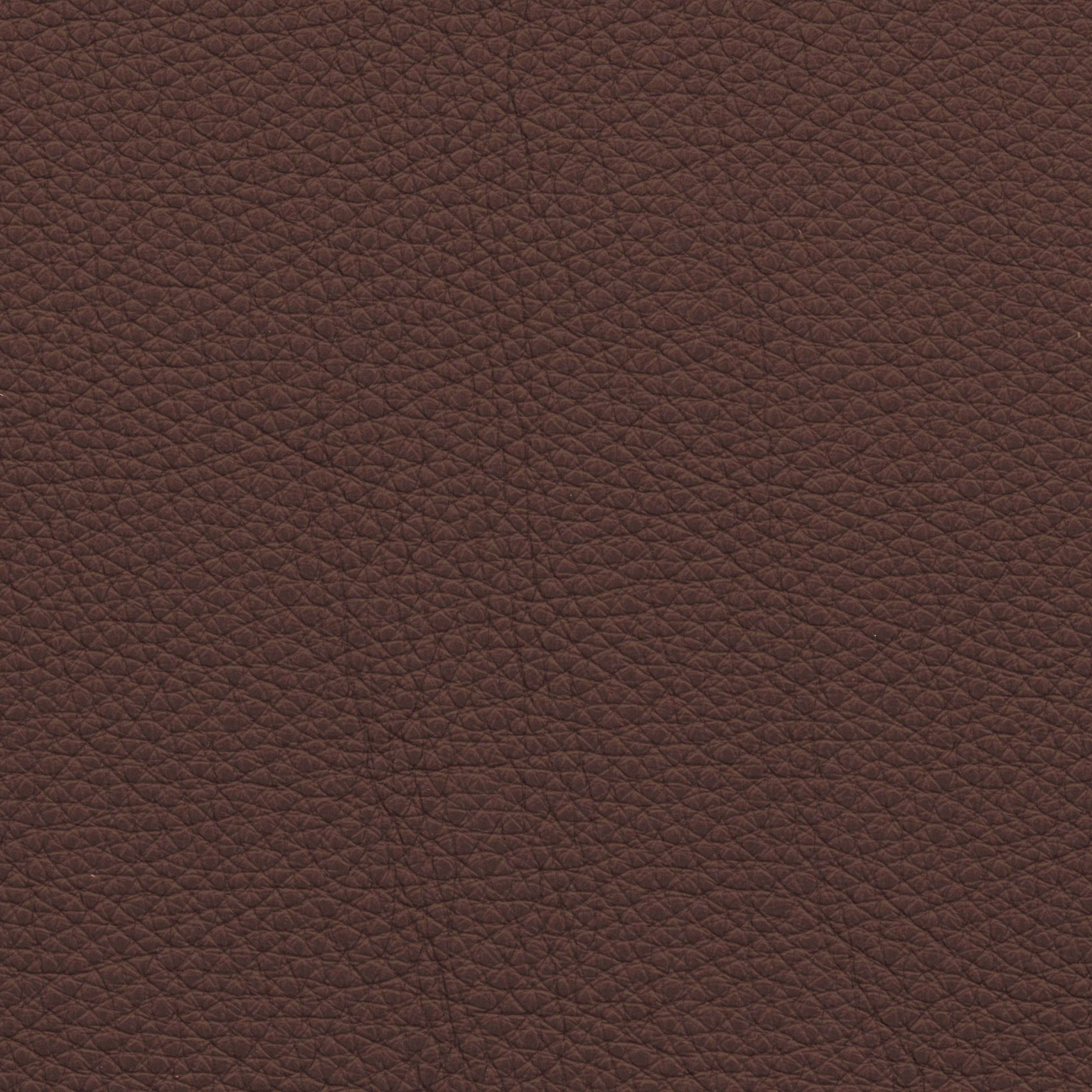  Paris | Rindleder tabak