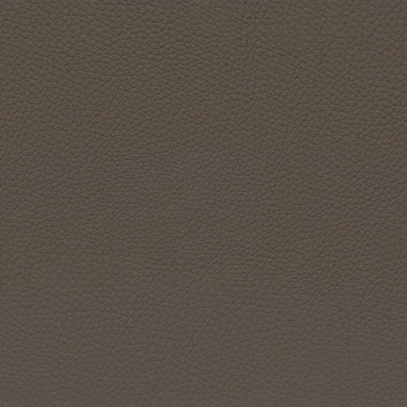  BMW Leder | Dakota trüffelbraun V2