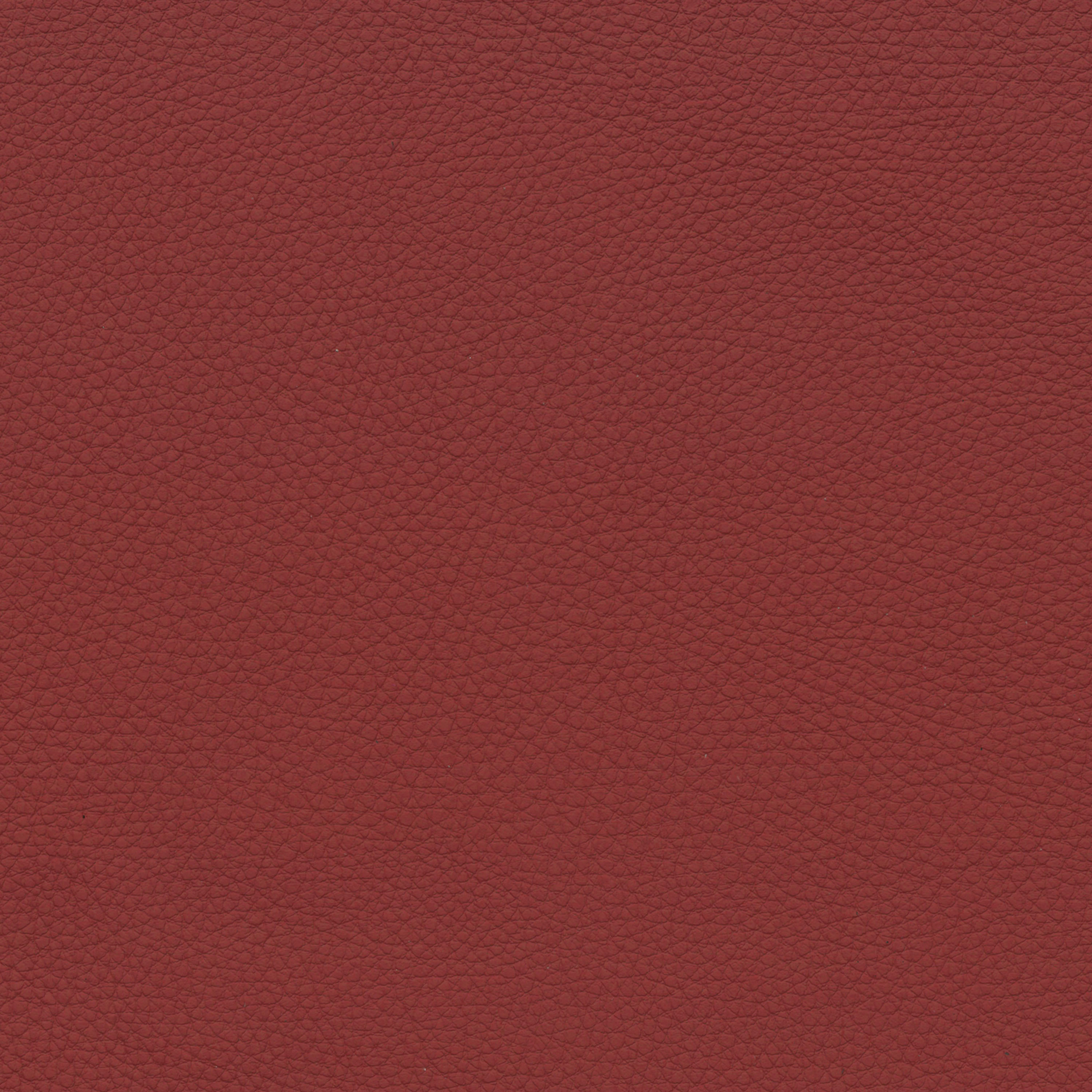  BMW Leder | Dakota korallrot V2