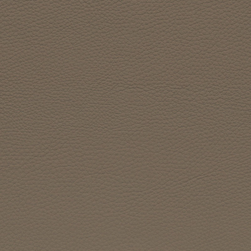  BMW Leder | Dakota camel