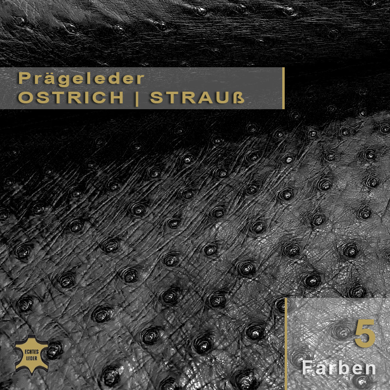 Echtes Leder Straußenoptik | Nappaleder Echtes Leder Straußenoptik | Nappaleder