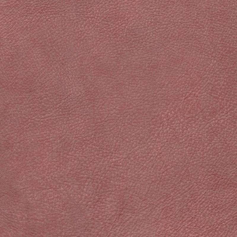  Nevada | Wasserbüffelleder Vintage rouge