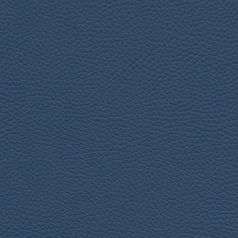  Frisco | Echtes Rindsleder bright blue