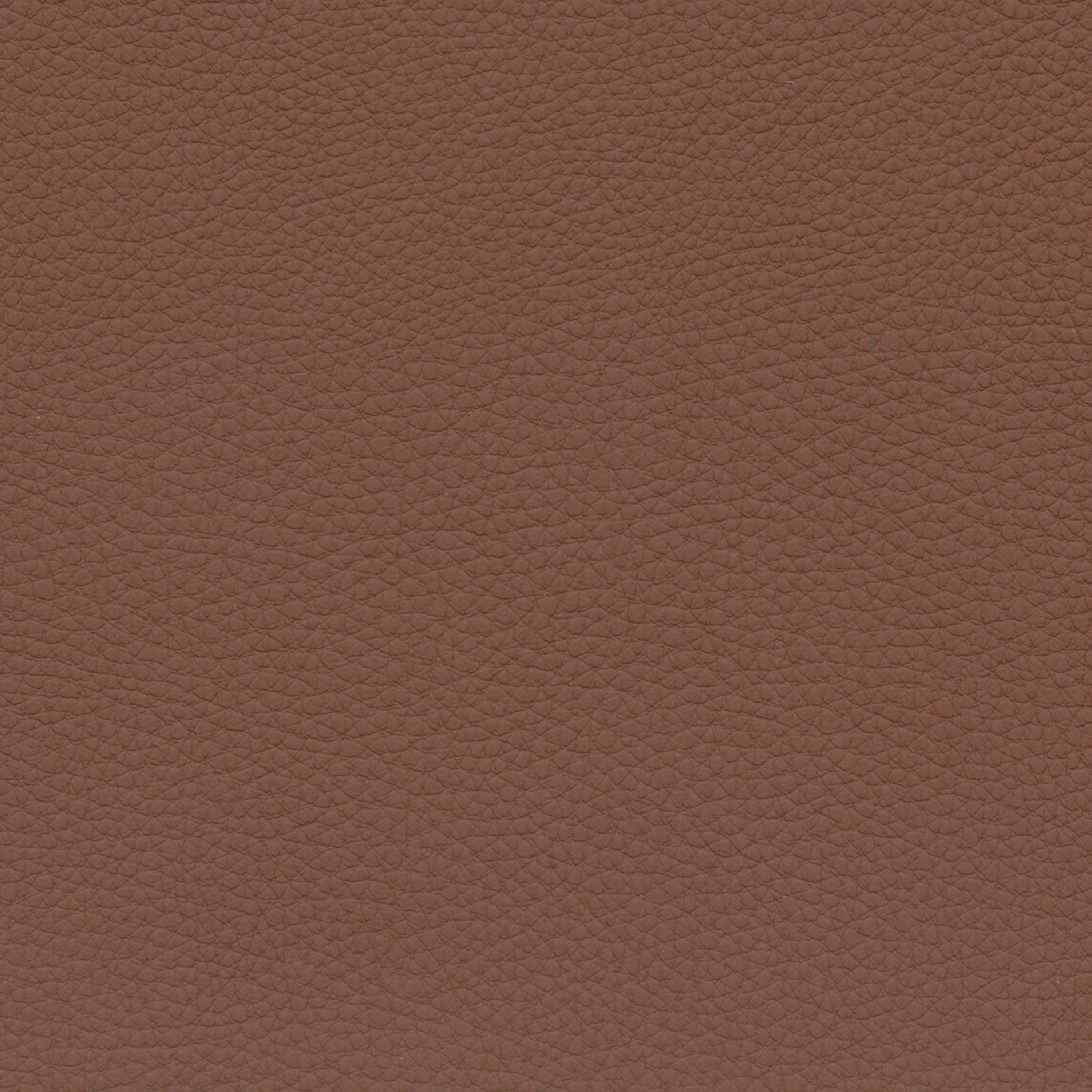  BMW Leder | Dakota kastanienbraun V2