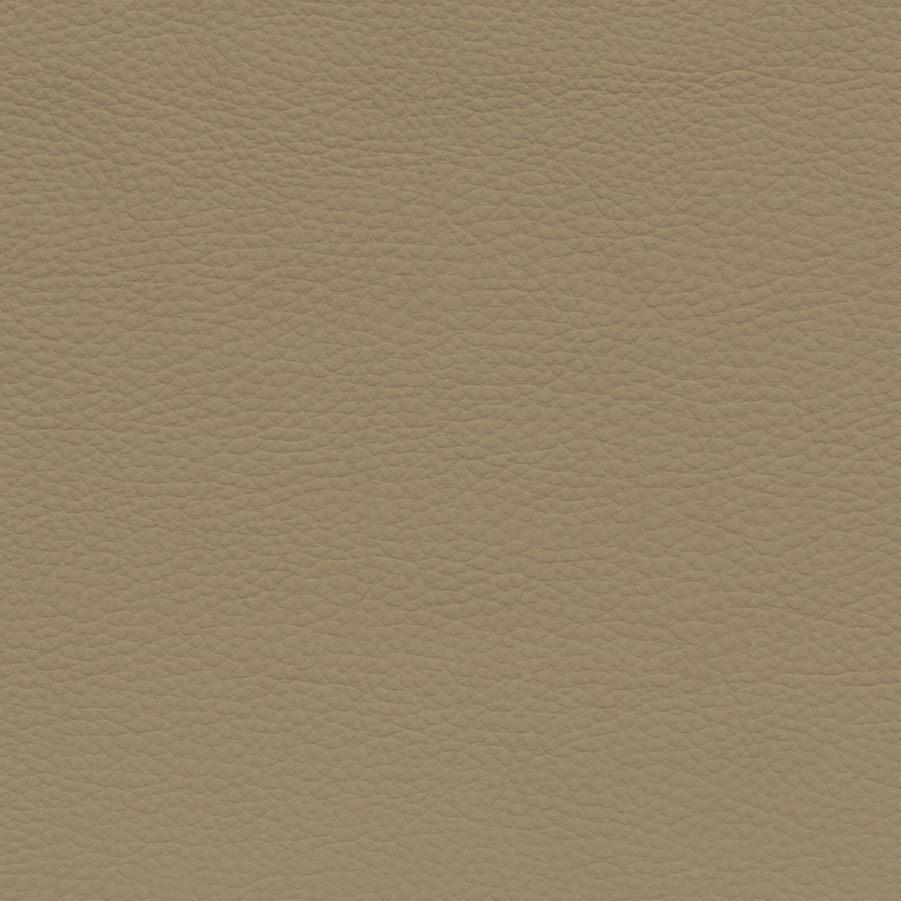  BMW Leder | Dakota savannabeige