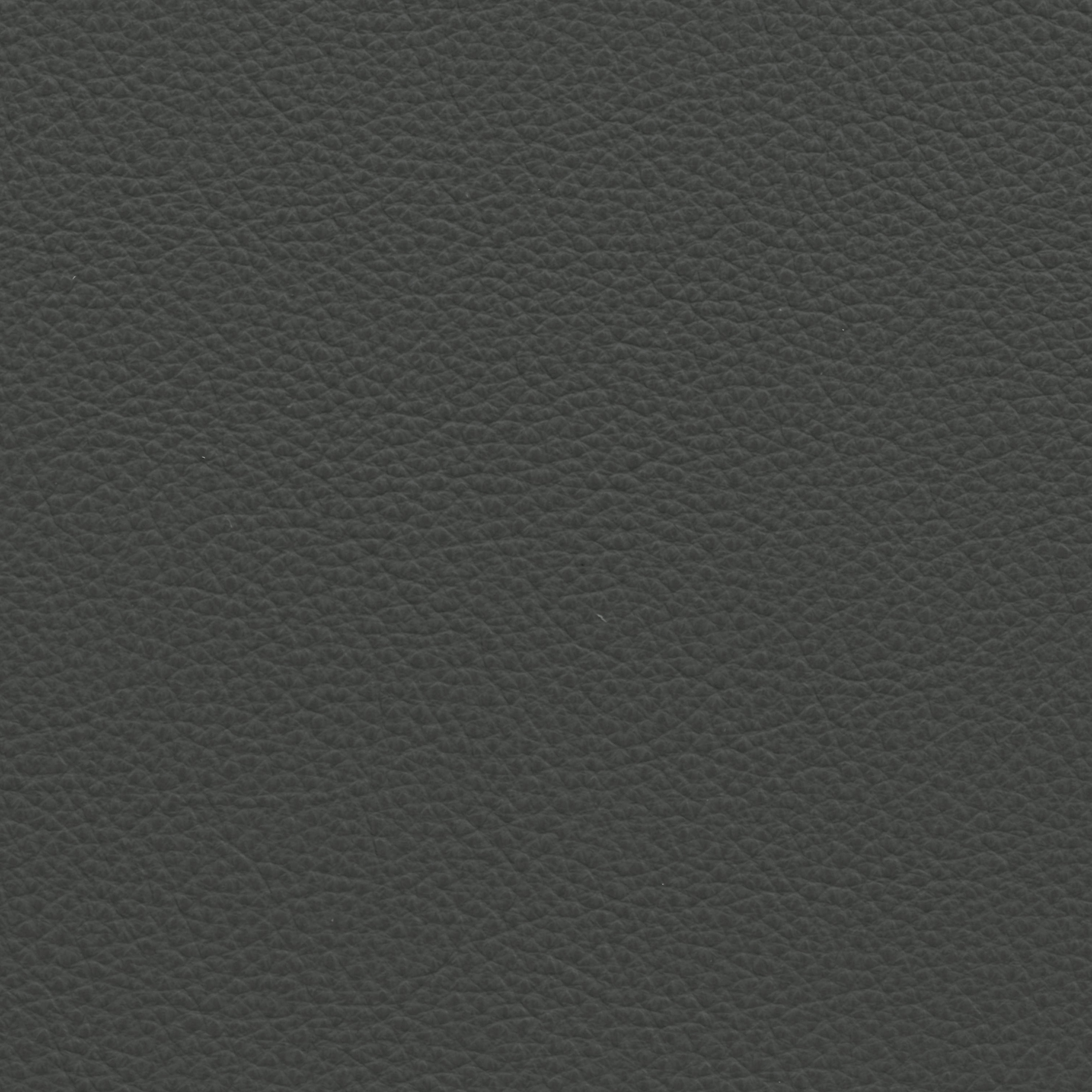  Paris | Rindleder anthrazit