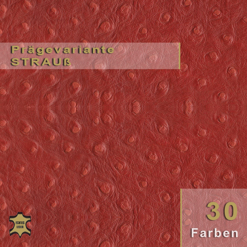 Design-Leder | Strauß Optik (Lederprägung Strauß)