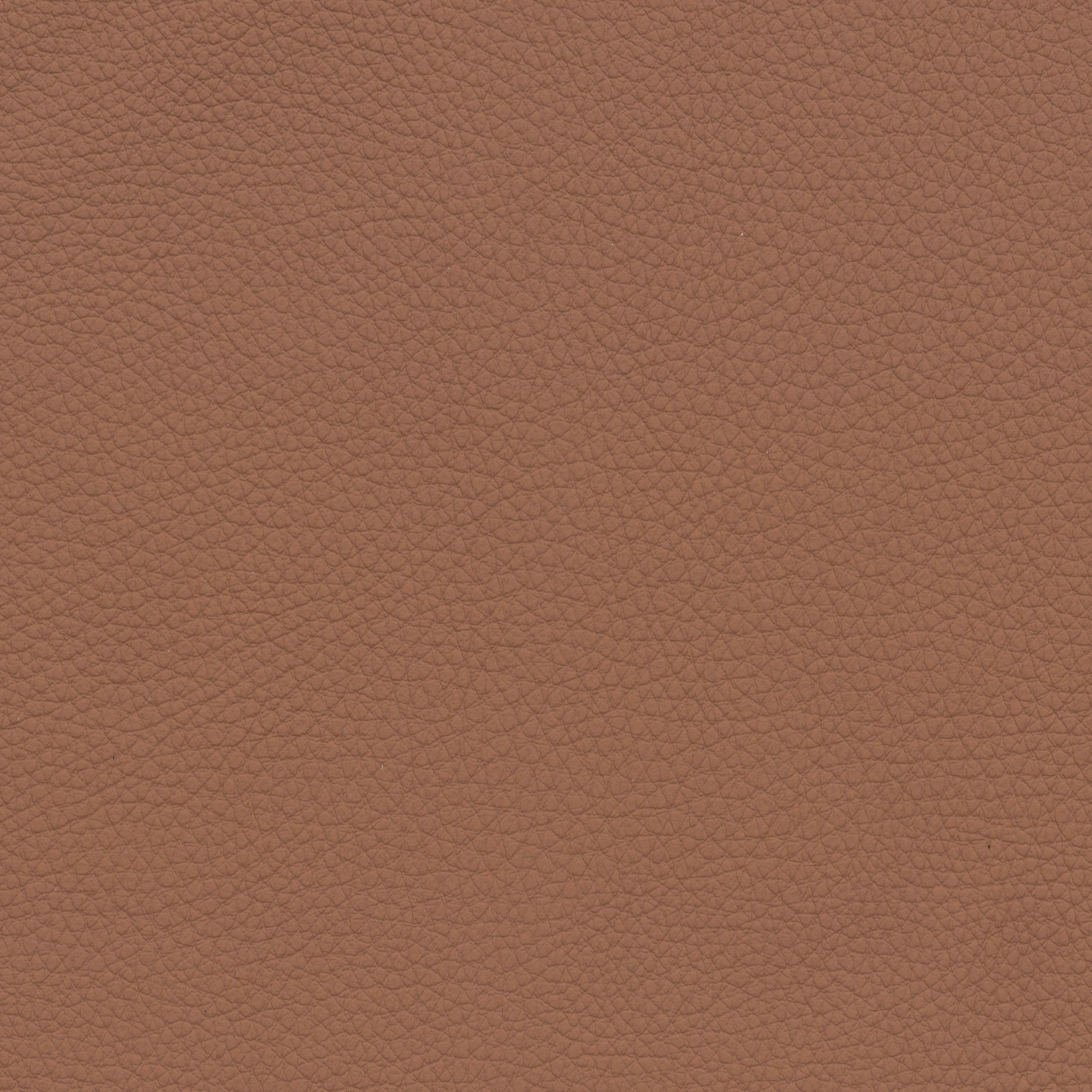  BMW Leder | Dakota cognac