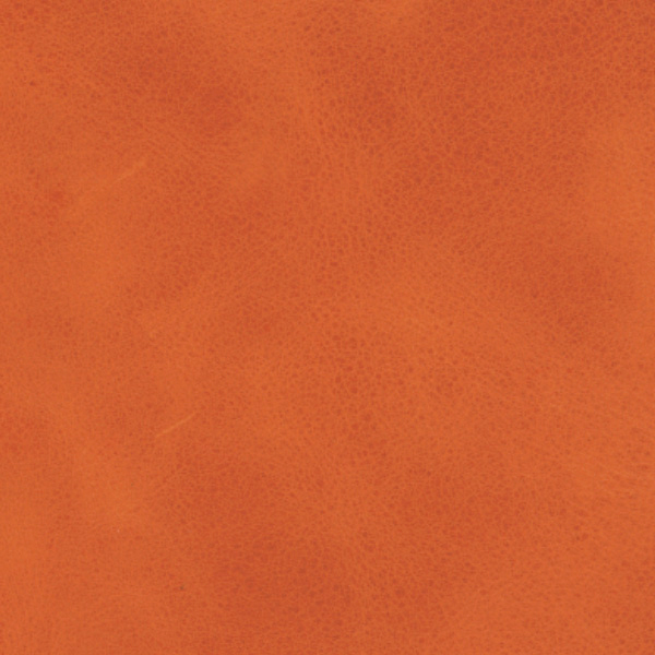  Antique | Bioleder mandarine