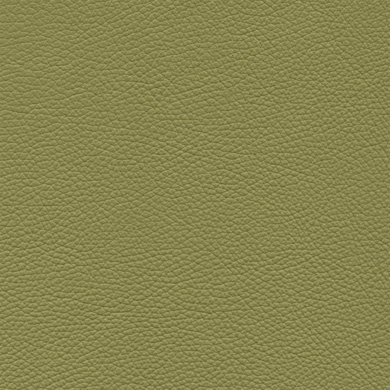  Frisco | Echtes Rindsleder leaf green