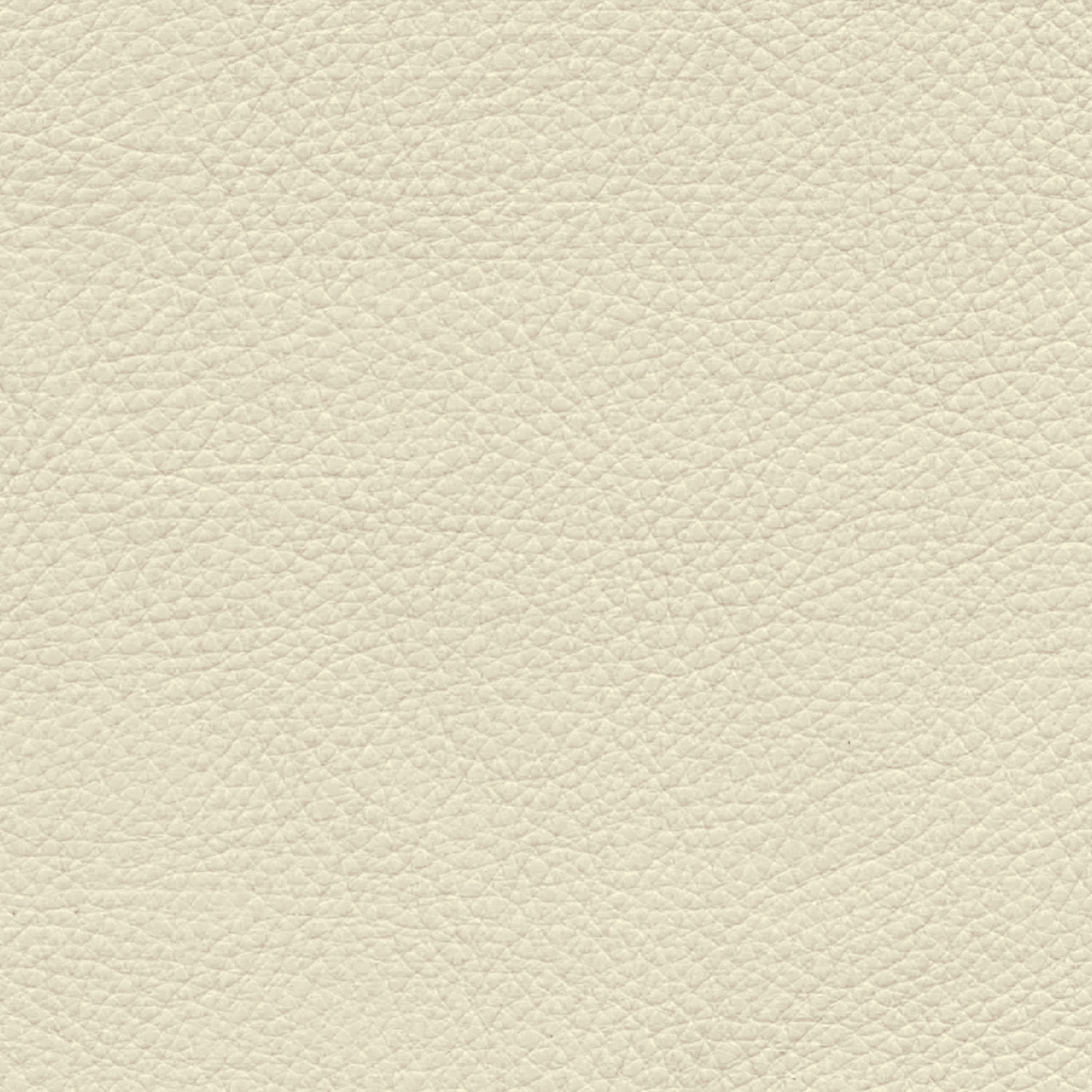  Paris | Rindleder schnee