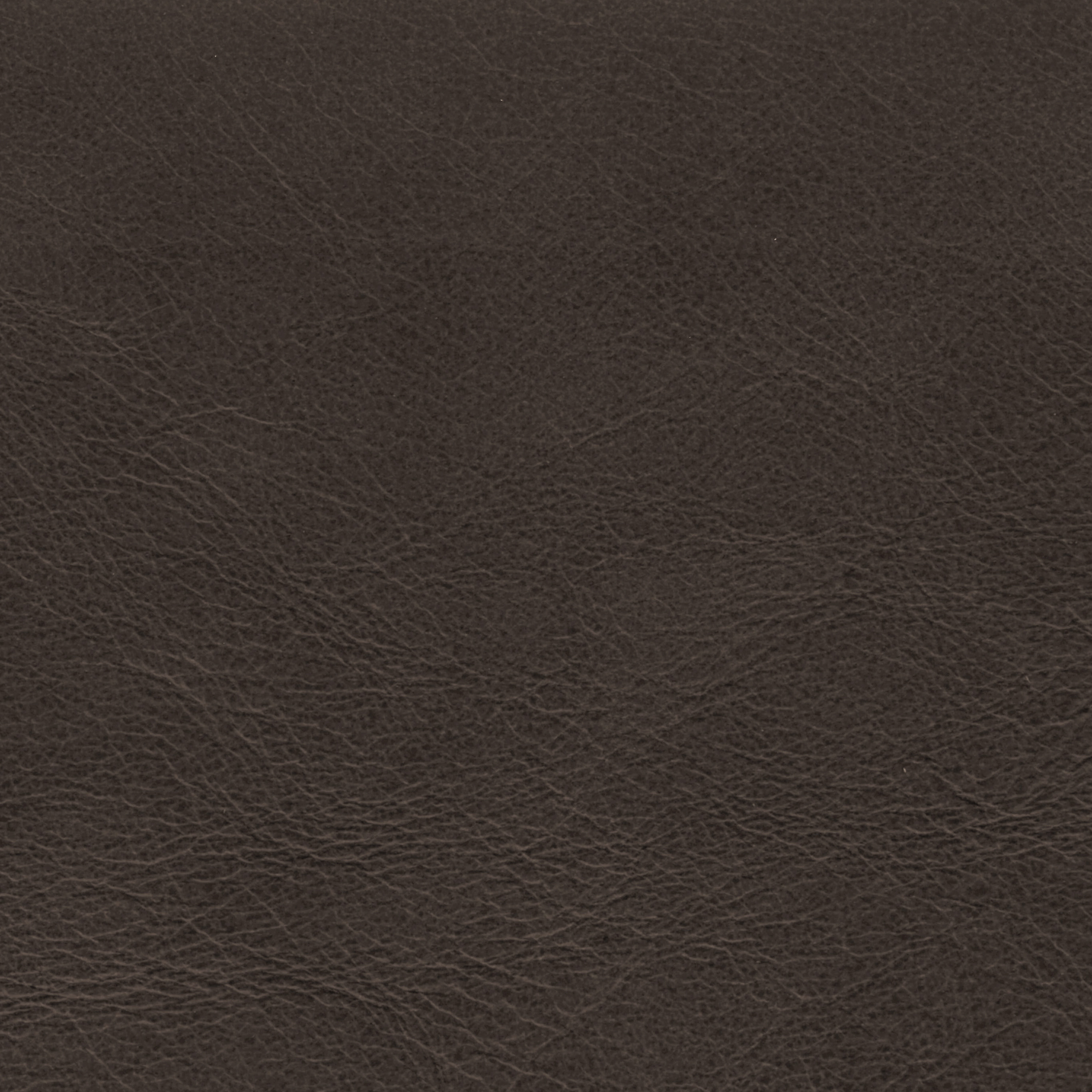  Savanne | Büffelleder brown