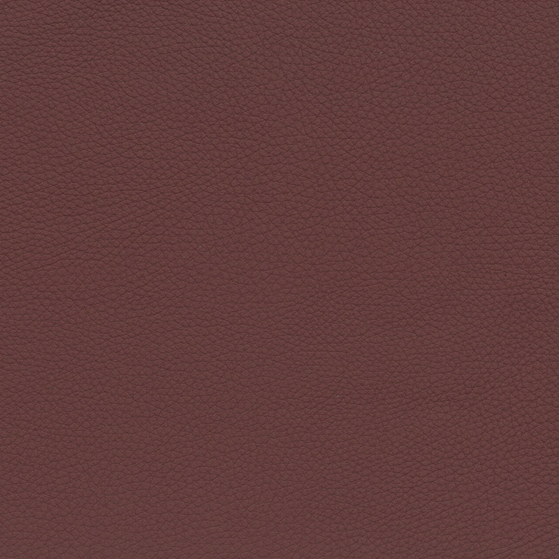  BMW Leder | Dakota chateau V2