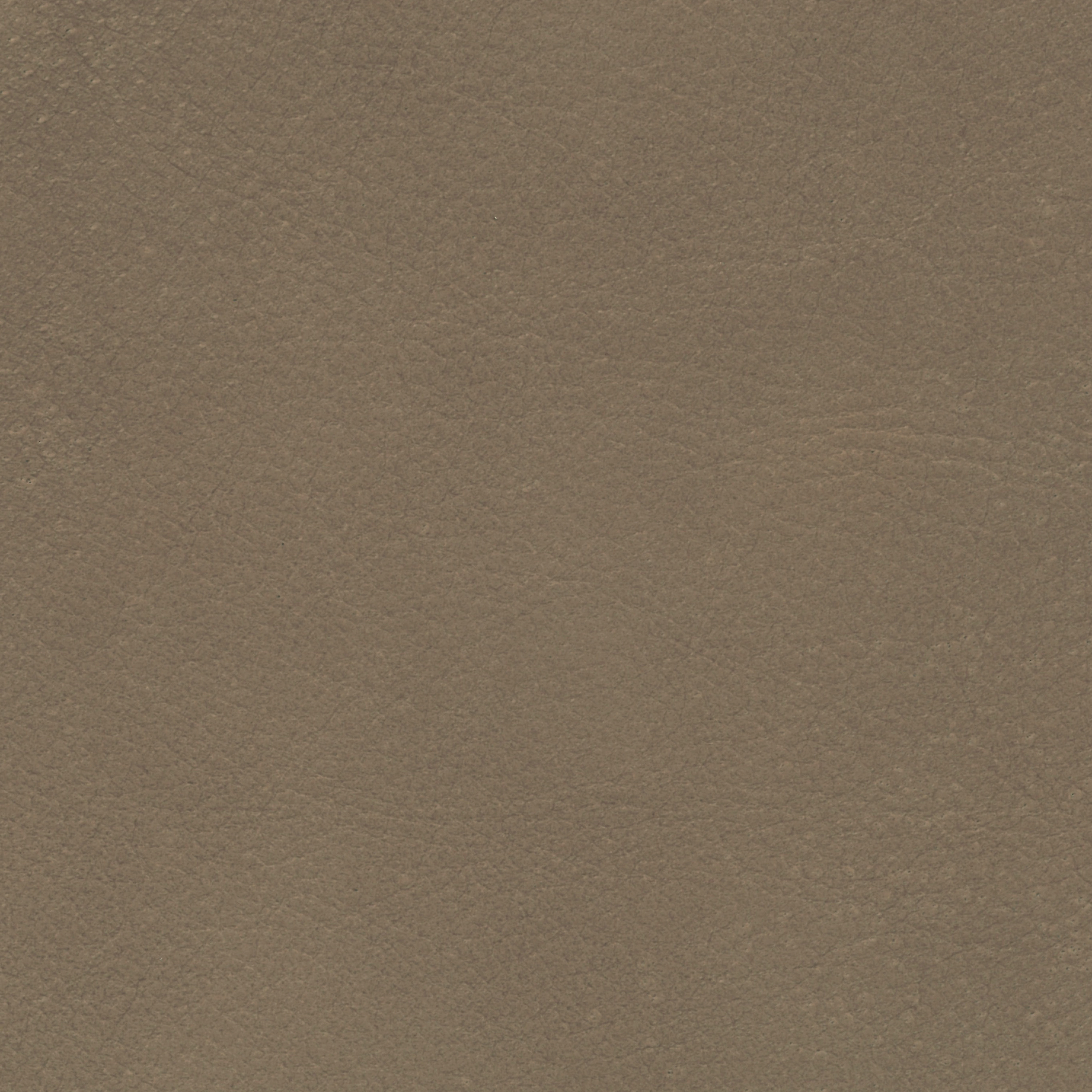 Savanne | Büffelleder gray brown Savanne | Büffelleder gray brown