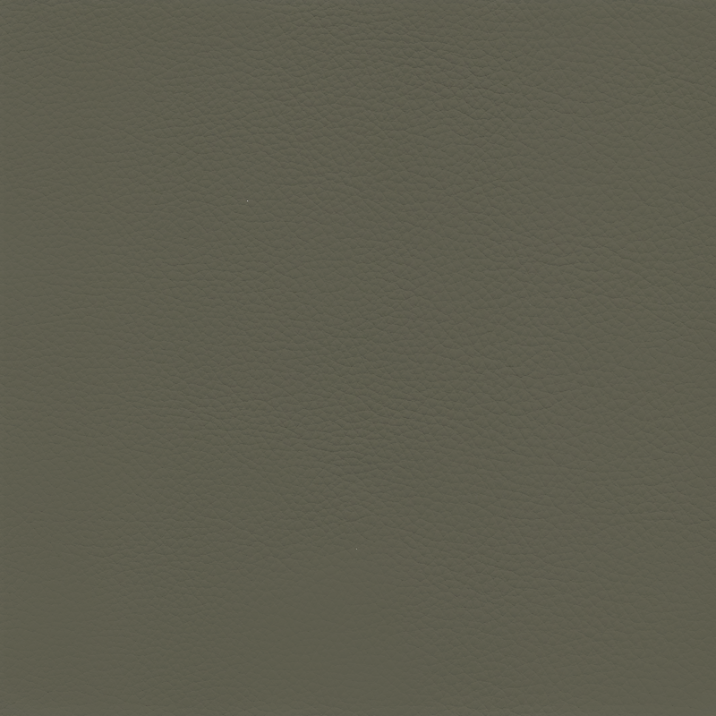  Continental | Rindleder olivegrün