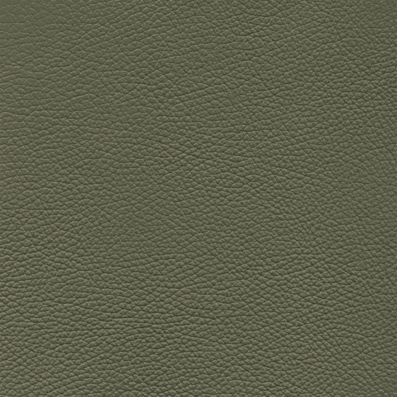 Frisco | Echtes Rindsleder van dyck green