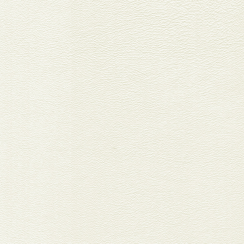  Colorado | Rindleder signal white