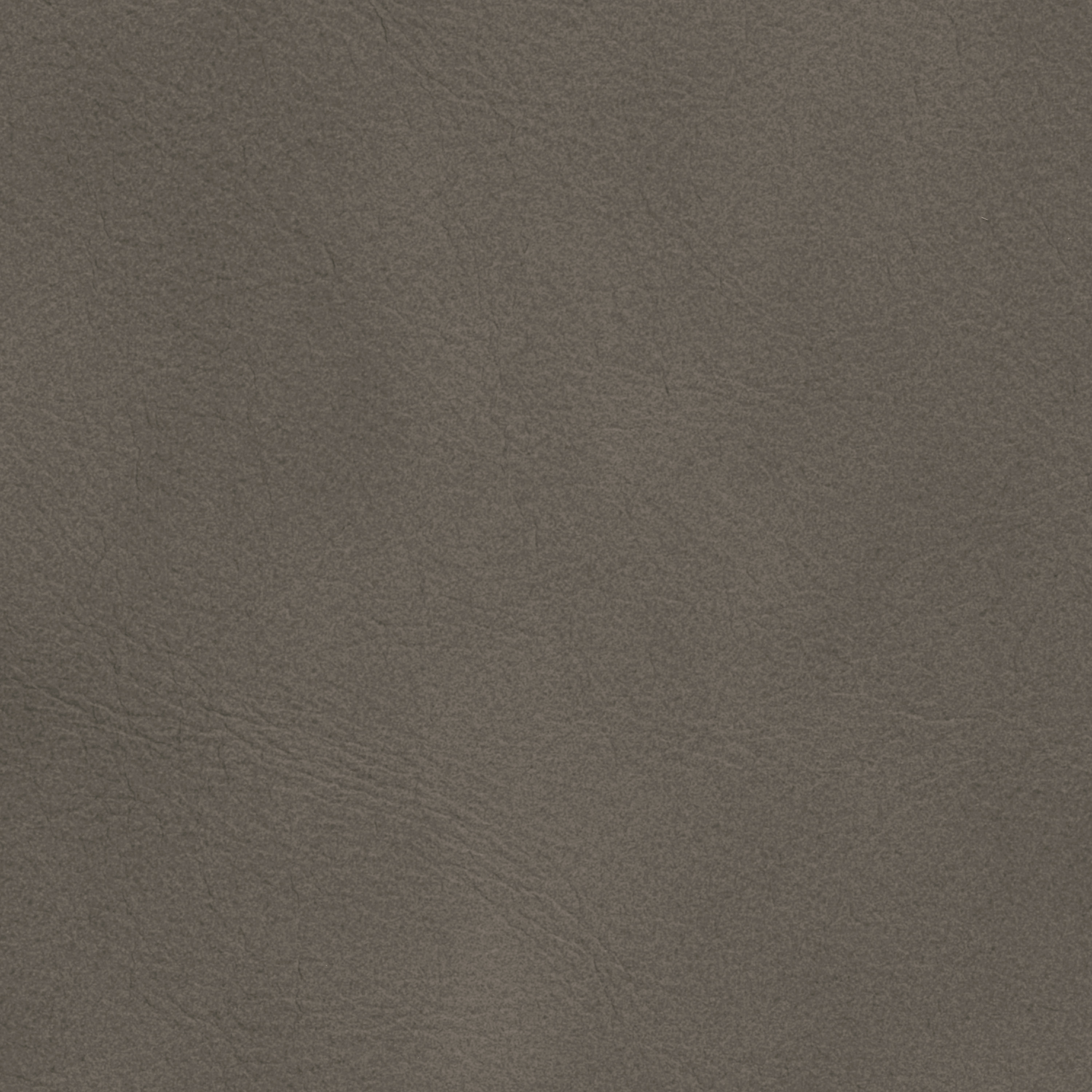  Savanne | Büffelleder mode gray