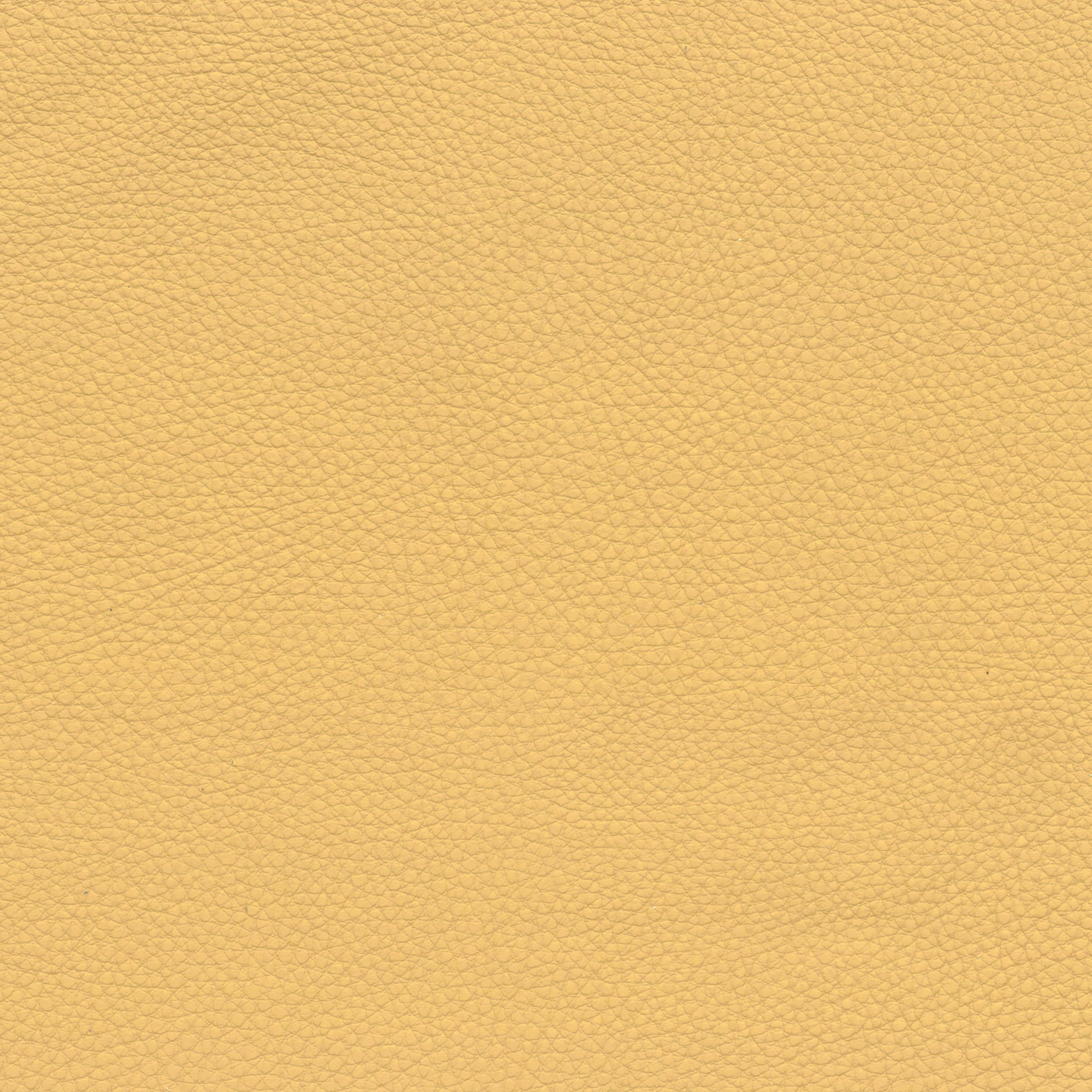  BMW Leder | Montana lightgelb