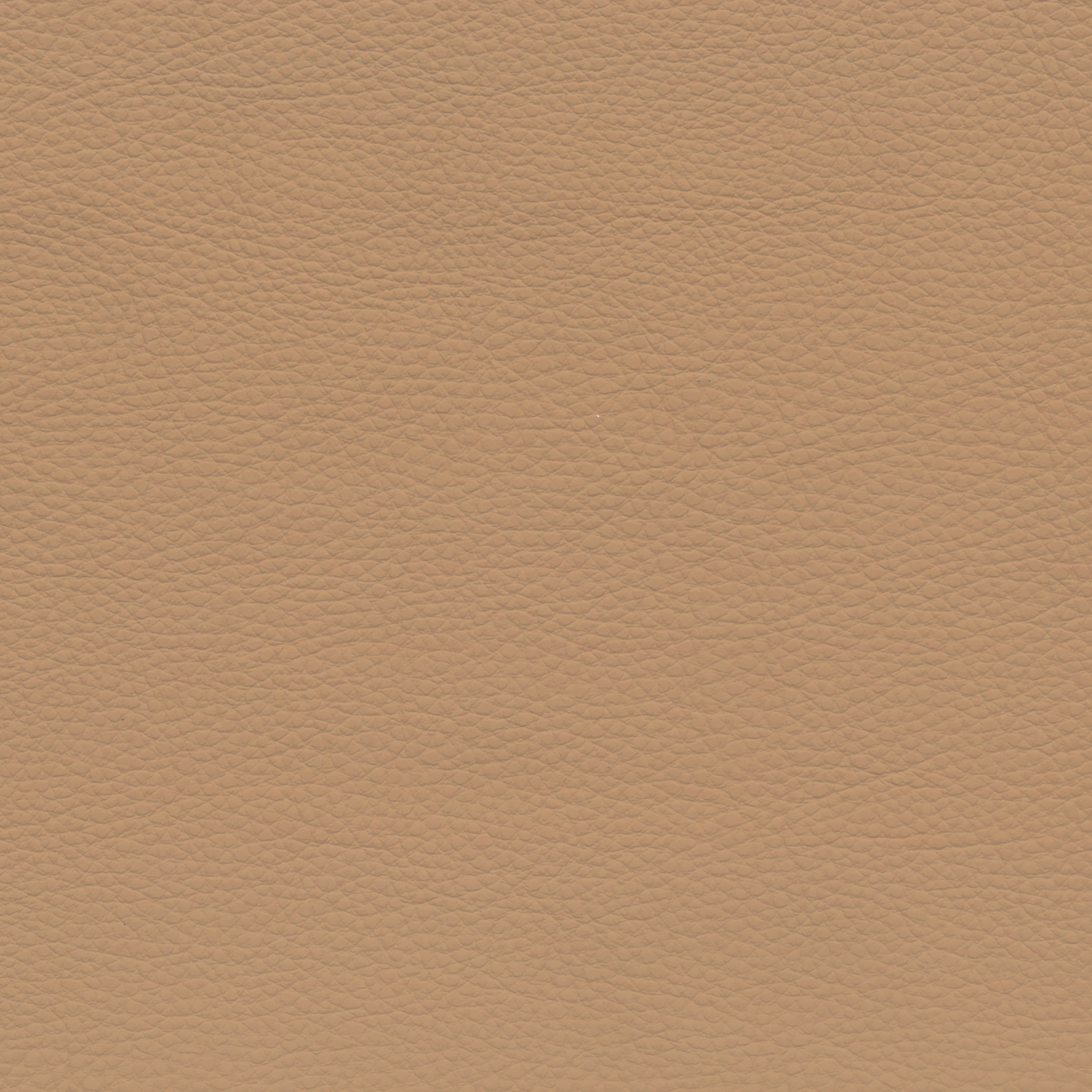  BMW Leder | Montana hellbeige