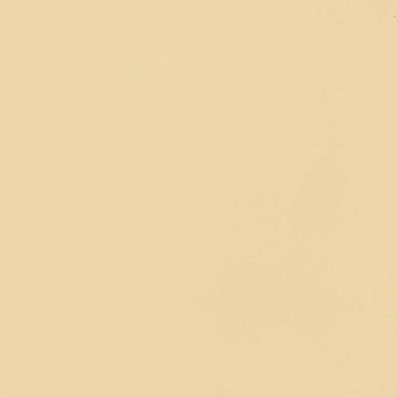  BMW Nappa | Autoleder champagner V2