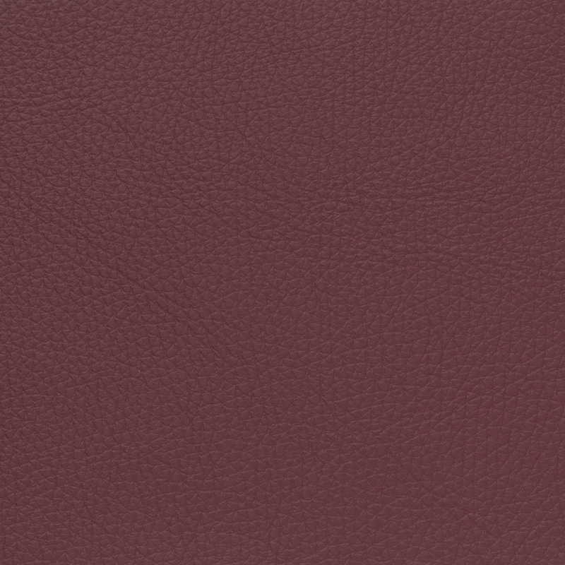  Mercedes Benz Lugano | Autoleder flamencorot