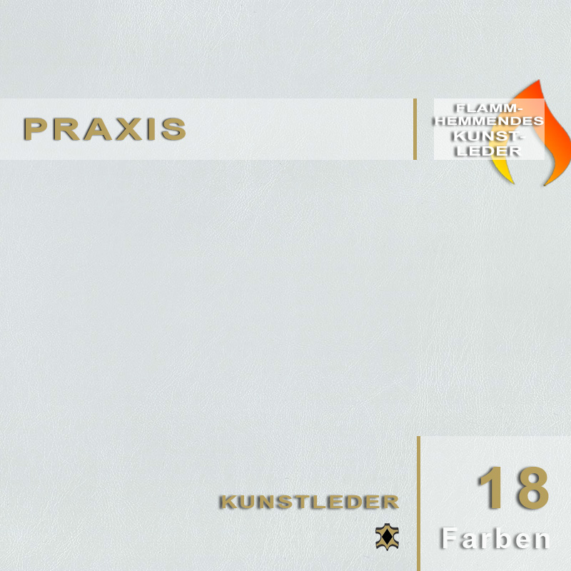 Praxis | Kunstleder Praxis Kunstleder - Desinfizierbare und hygienische Oberfläche für medizinische Einrichtungen und Praxen.
