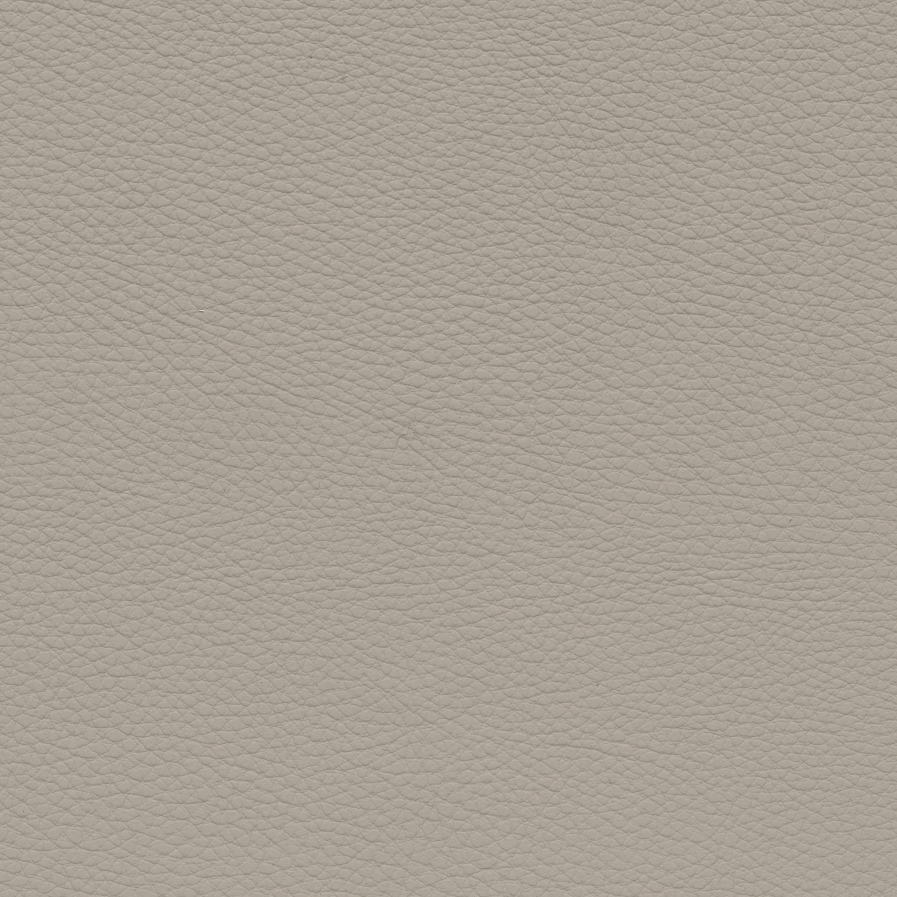  BMW Leder | Dakota oyster V2