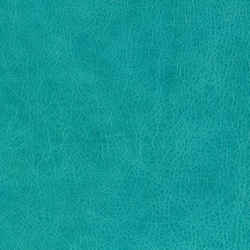  Wildlife | Rindleder turkish blue