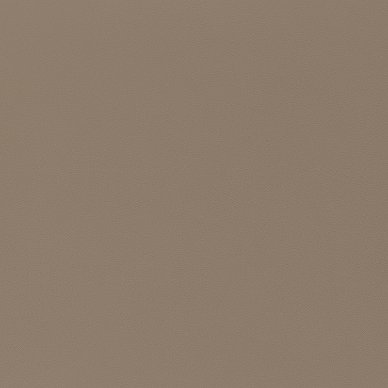  Porsche Nappa | Autoleder mojavebeige